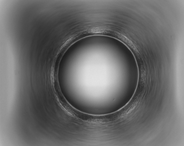 X0000115550530200911131607