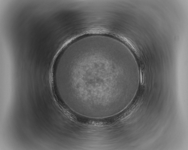 X0000115550531200911131607