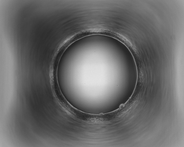 X0000115550535200911131607