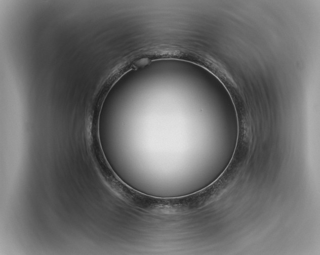 X0000115550538200911131607