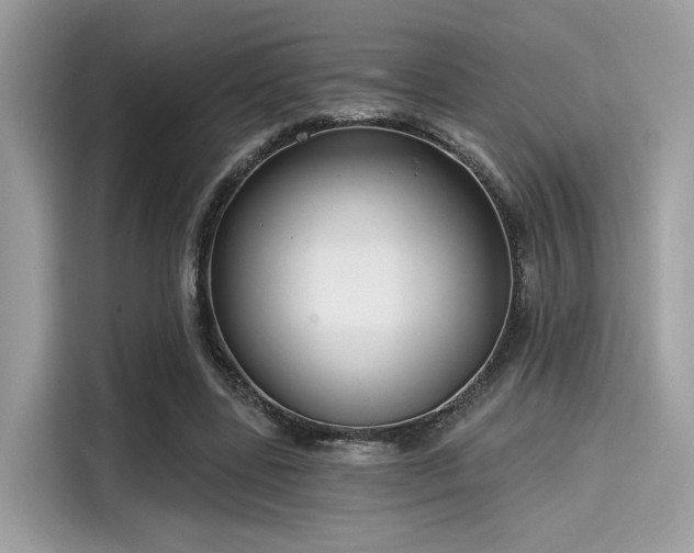 X0000115550539200911131607