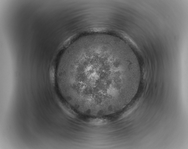 X0000115550542200911131607