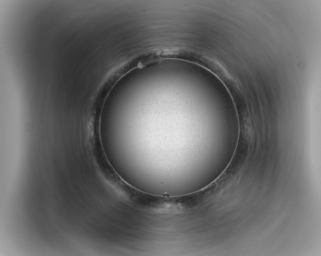 X0000115550543200911131607