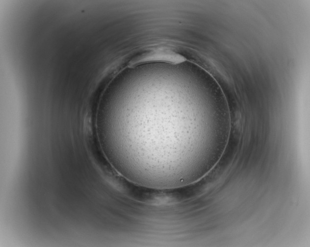 X0000115550547200911131607