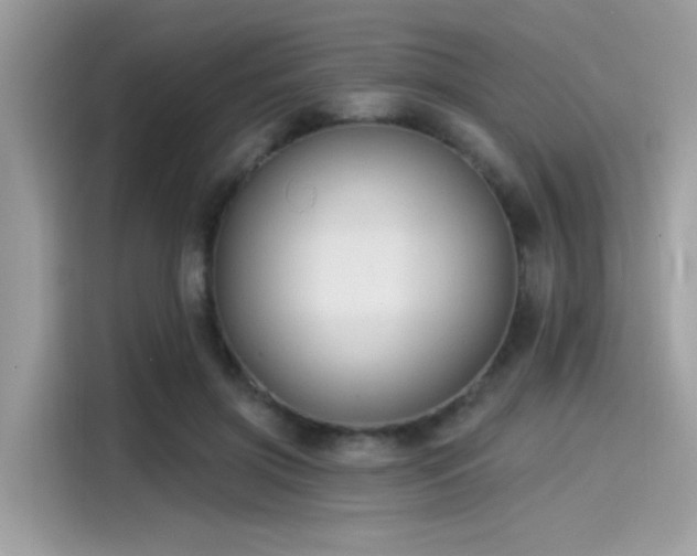 X0000115550549200911131607