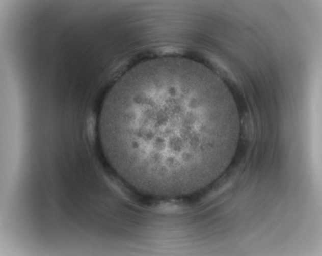 X0000115550550200911131607