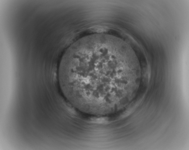 X0000115550553200911131607