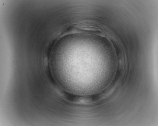 X0000115550555200911131607