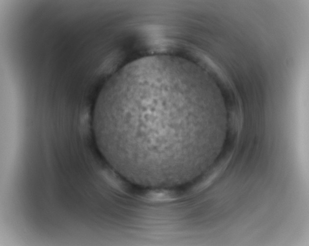 X0000115550557200911131607