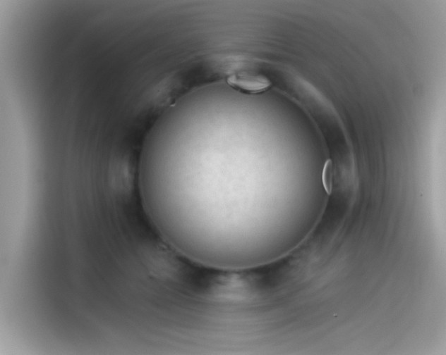 X0000115550558200911131607