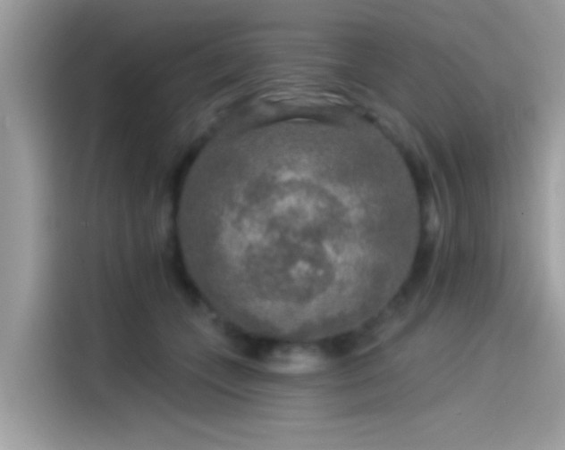 X0000115550559200911131607