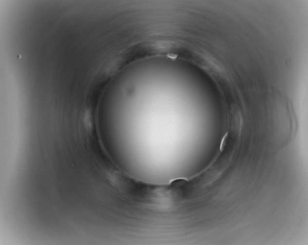 X0000115550562200911131607