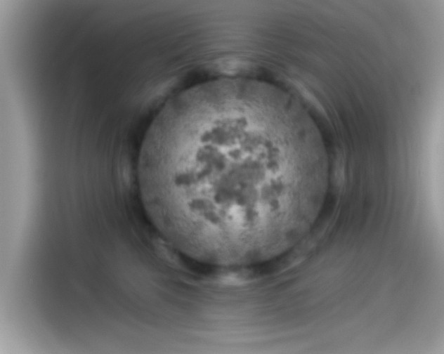 X0000115550569200911131607