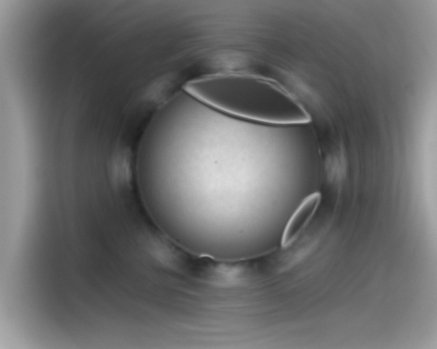 X0000115550570200911131607