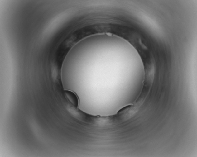 X0000115550574200911131607