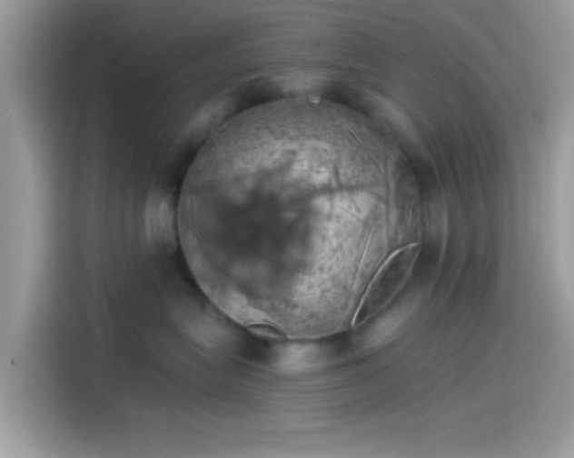 X0000115550575200911131607