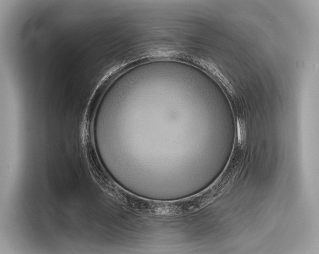 X0000115550579200911131607