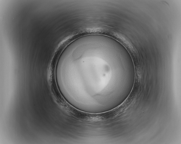 X0000115550583200911131607