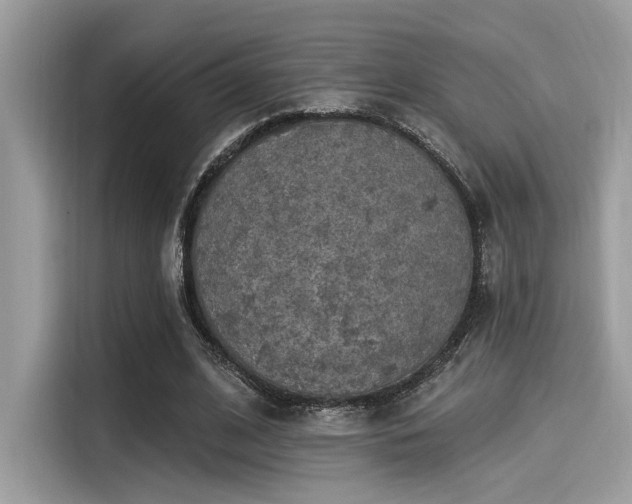 X0000115550584200911131606