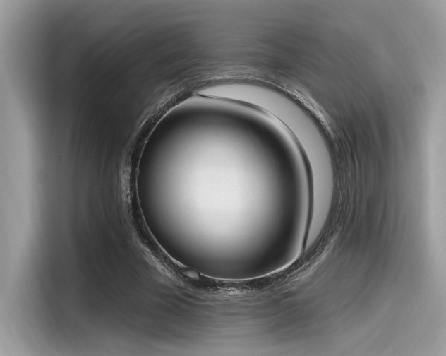 X0000115550585200911131606