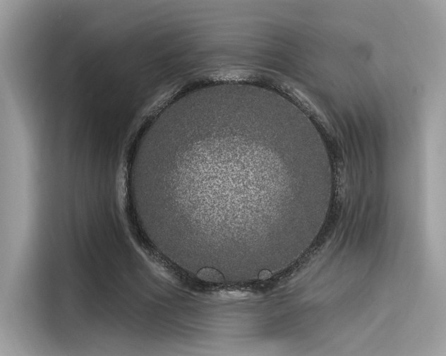 X0000115550586200911131606