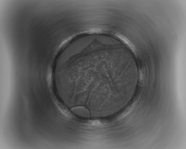 X0000115550588200911131606