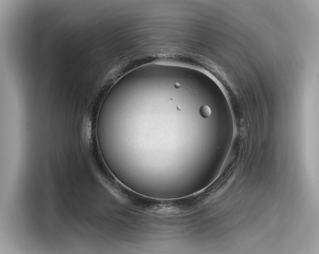 X0000115550589200911131606