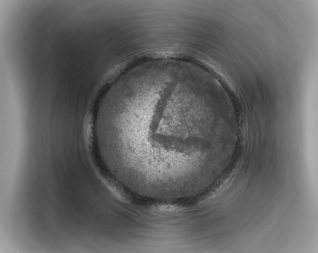 X0000115550590200911131606