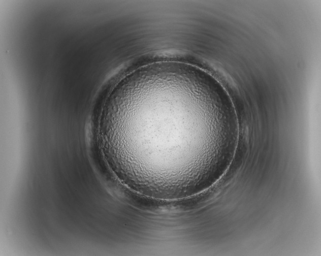 X0000115550591200911131606