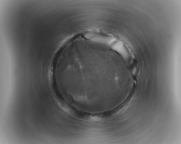 X0000115550592200911131606