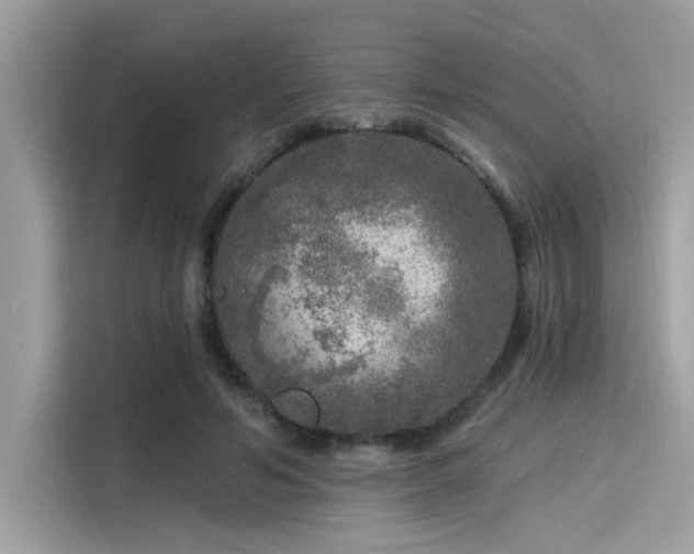 X0000115550594200911131606