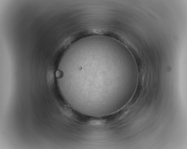 X0000115550595200911131606