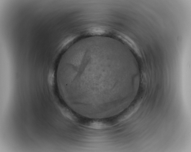 X0000115550596200911131606