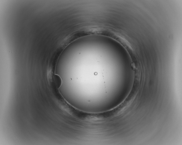 X0000115550597200911131606