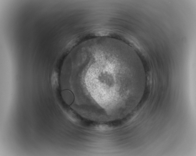 X0000115550598200911131606