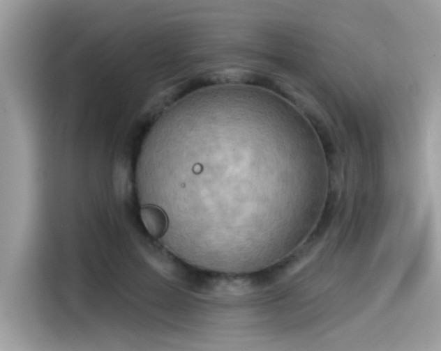 X0000115550599200911131606