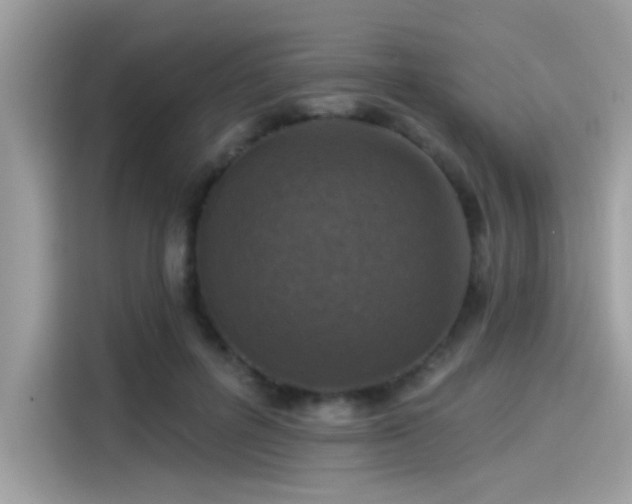 X0000115550600200911131606