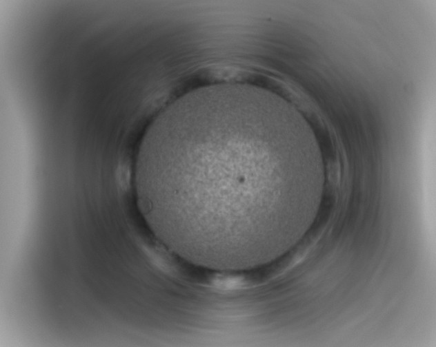 X0000115550602200911131606