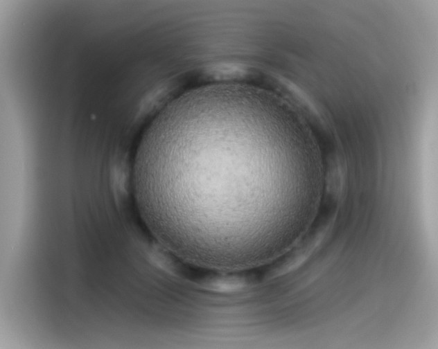 X0000115550604200911131606