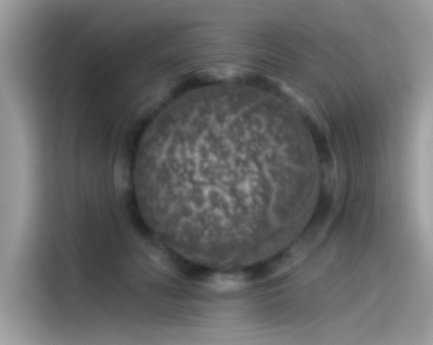 X0000115550606200911131606