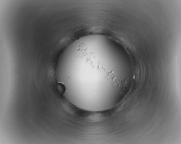 X0000115550609200911131606