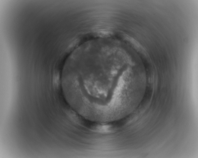 X0000115550610200911131606