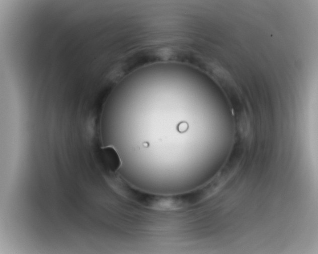 X0000115550611200911131606