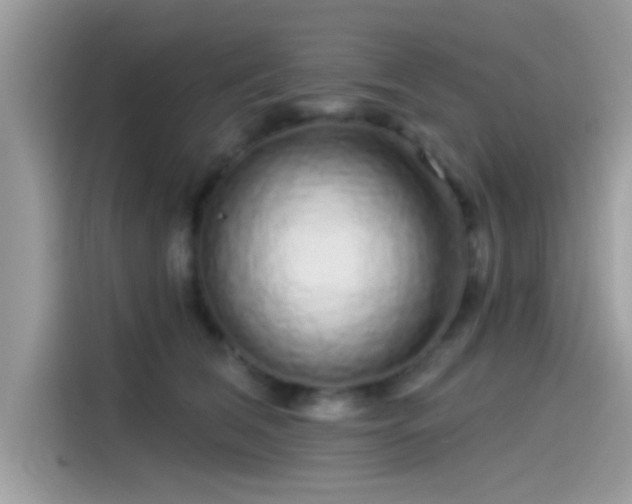 X0000115550612200911131606