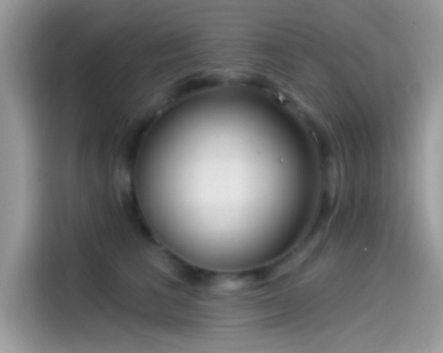 X0000115550613200911131606