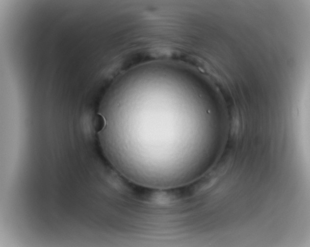 X0000115550616200911131606