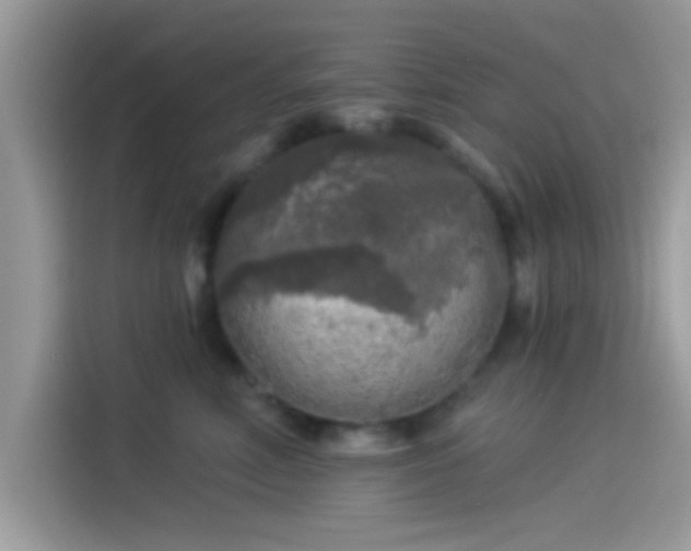 X0000115550618200911131606