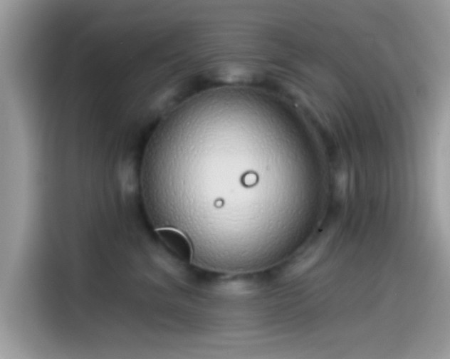 X0000115550620200911131606