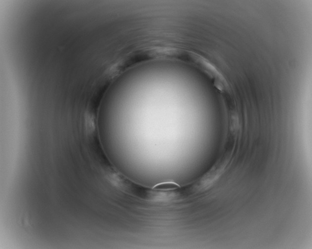 X0000115550621200911131606