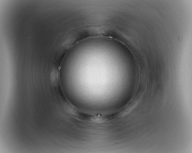 X0000115550624200911131606